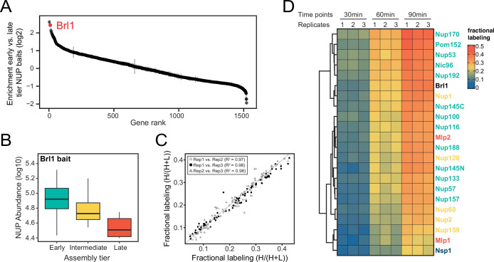 Figure 1—figure supplement 1.