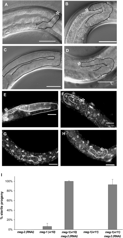 Figure 2.—