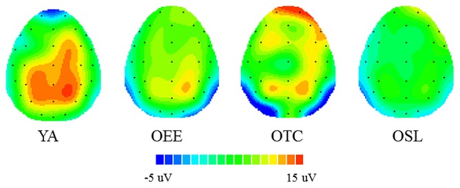 FIGURE 3