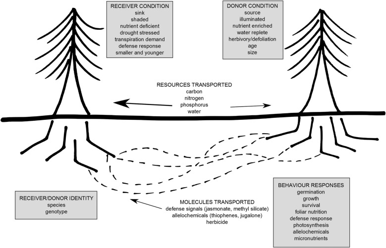 Figure 1.