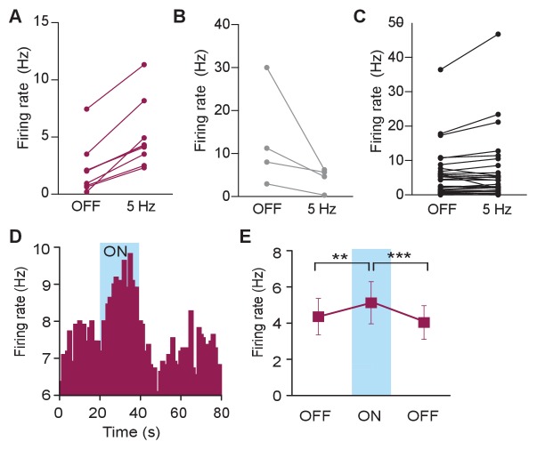 Figure 3—figure supplement 1.