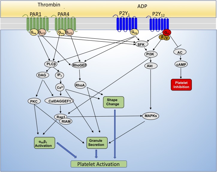 Fig. 3.