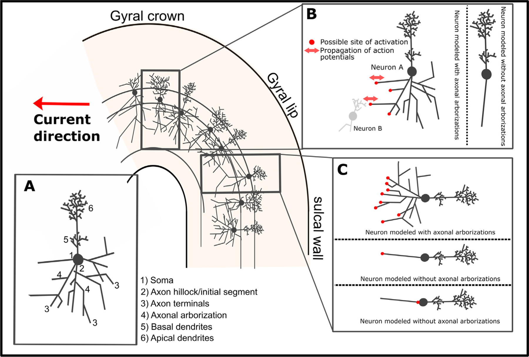 Fig. 2.