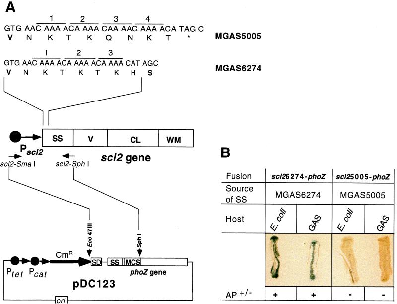 FIG. 6