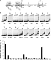 FIG. 7.