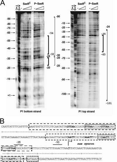 FIG. 5.