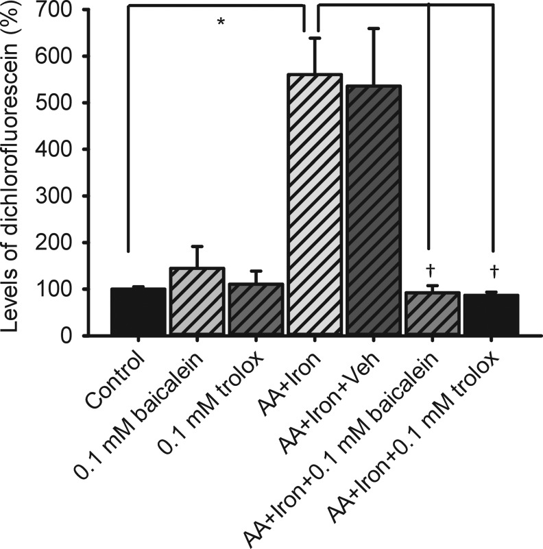 FIG. 6.