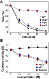 FIG 6