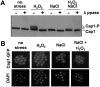 FIG 5