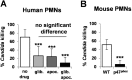 FIG 8