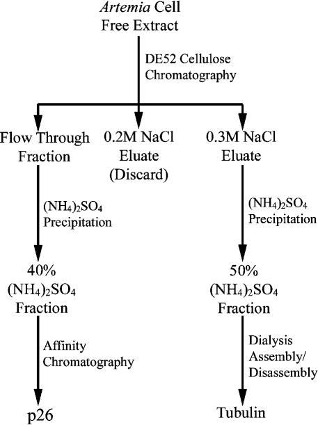 Fig 1.