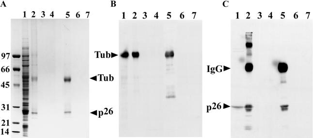 Fig 2.