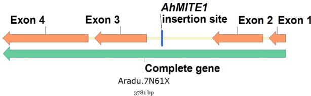 Fig 4