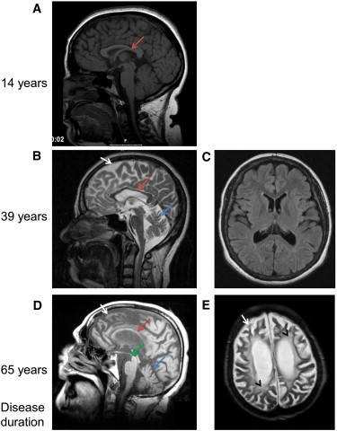 Figure 2