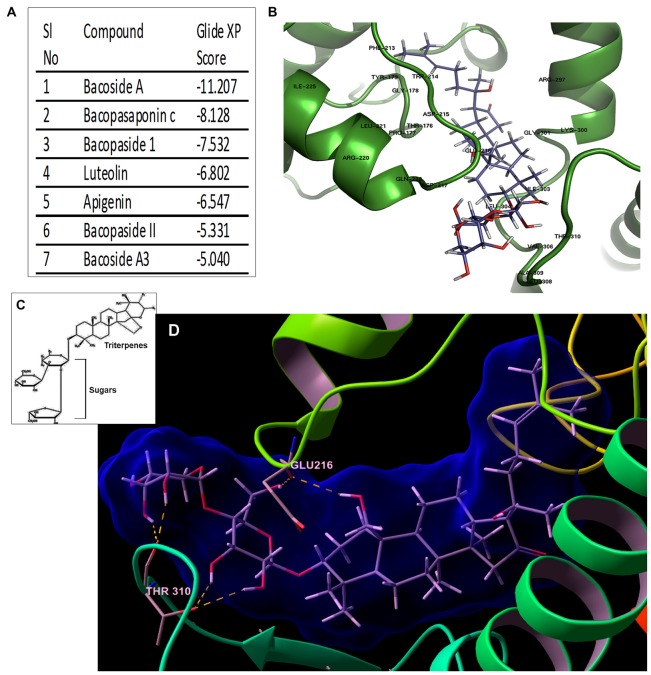 Figure 6