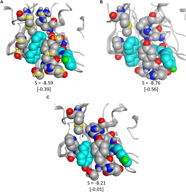 FIGURE 9