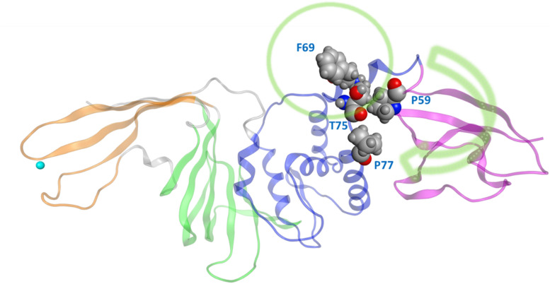 FIGURE 2