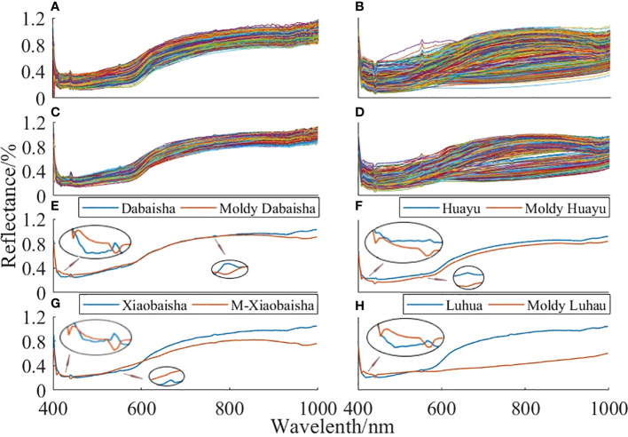 Figure 4