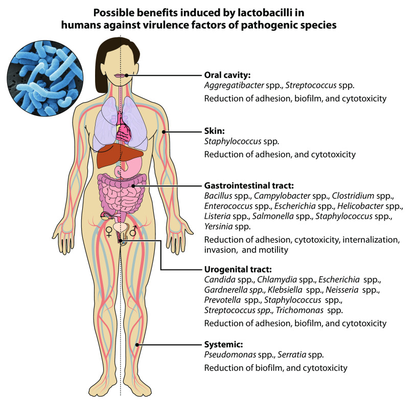 FIG 1