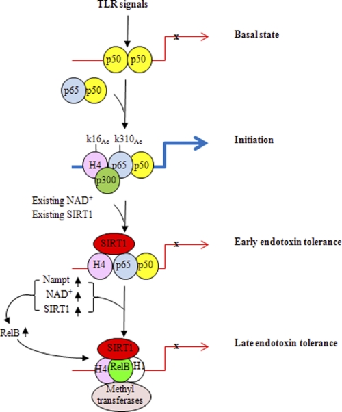 FIGURE 10.