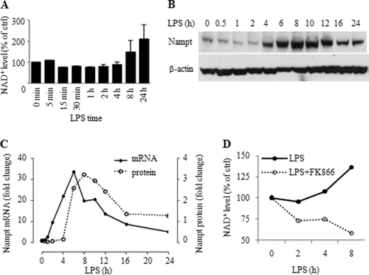 FIGURE 7.