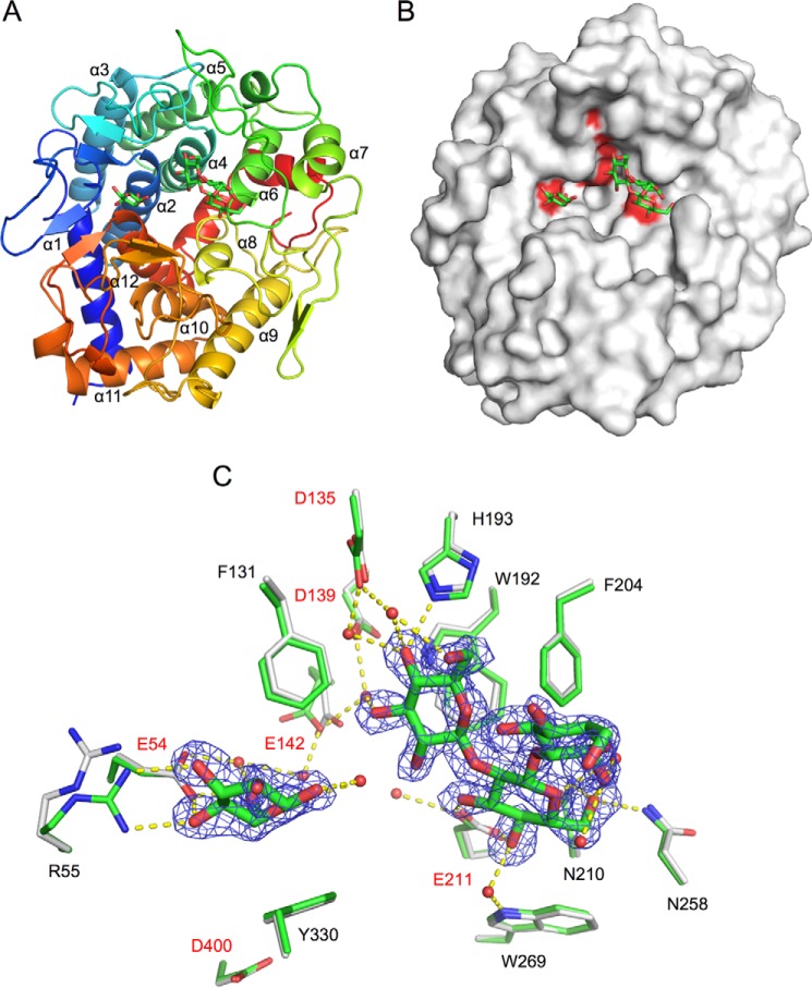 Figure 9.