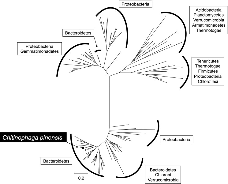 Figure 11.