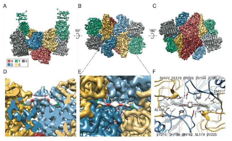 Fig. 2: