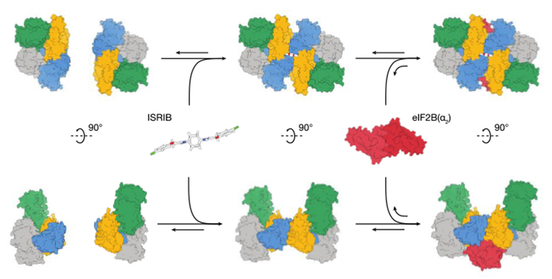 Fig. 6: