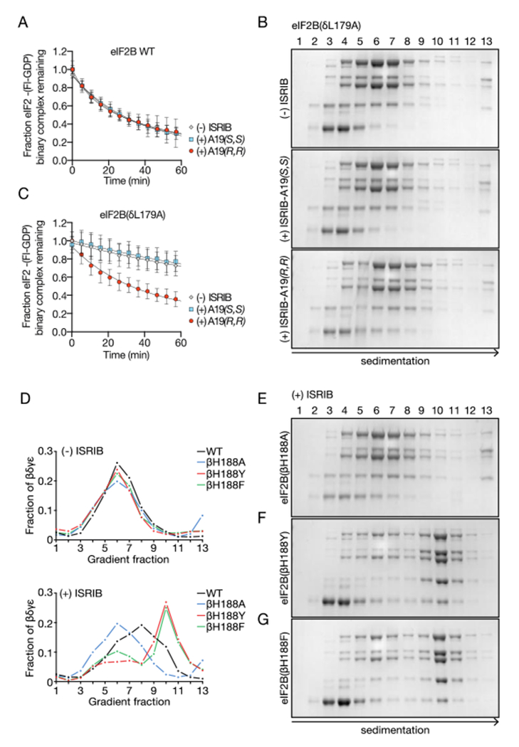 Fig. 3: