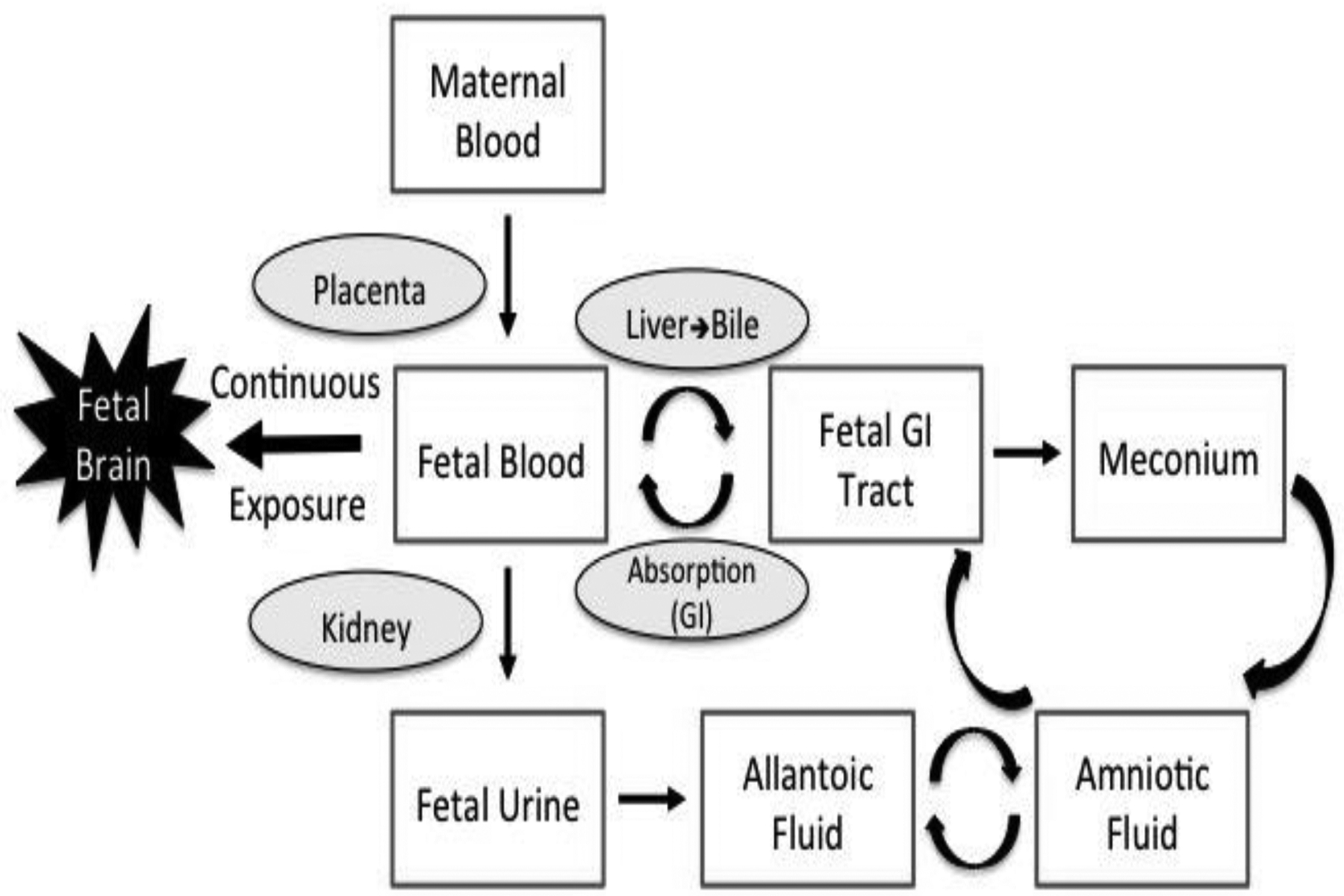 Figure 4: