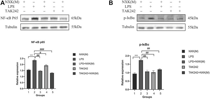 FIGURE 6