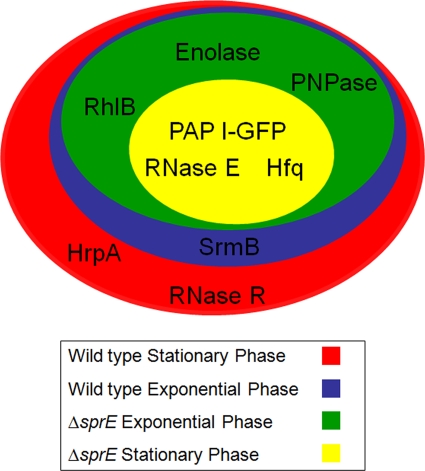 FIG. 5.