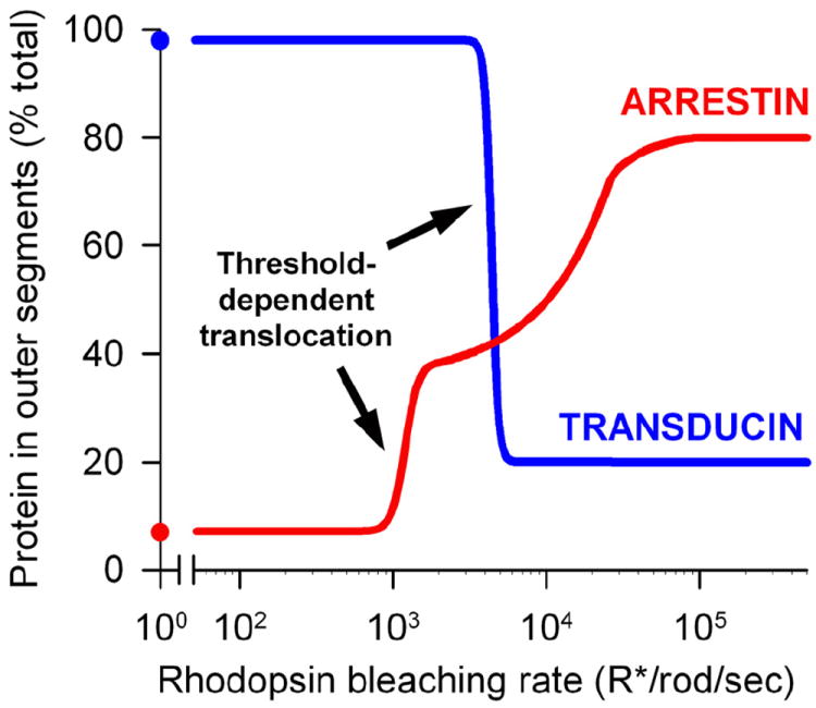 Fig.10