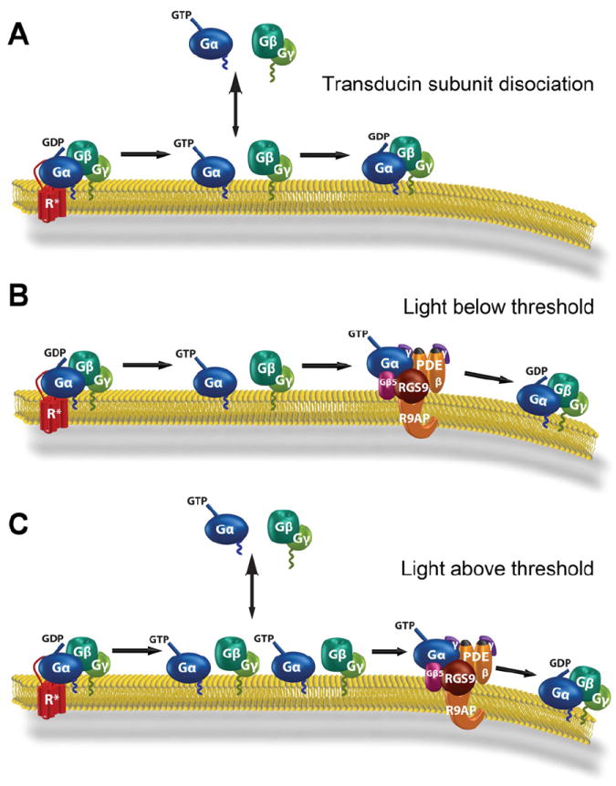 Fig. 11