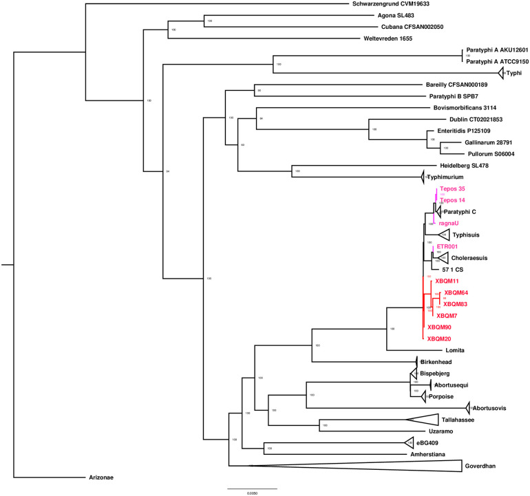 Fig 3