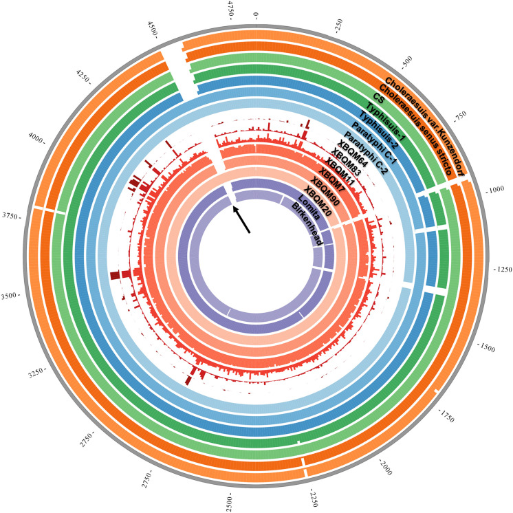 Fig 2