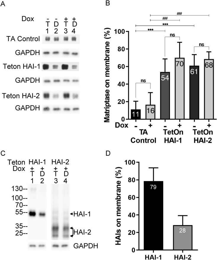 Figure 4