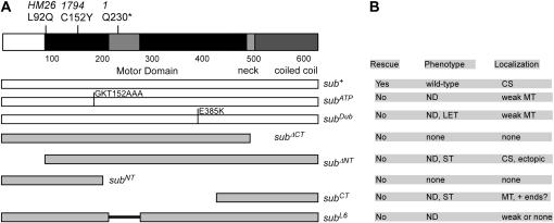 Figure 2.—