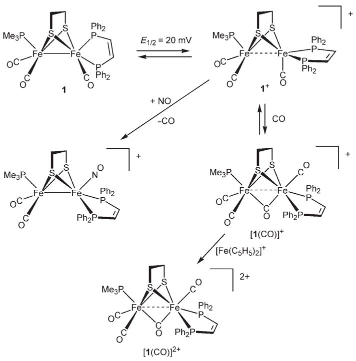 Scheme 2