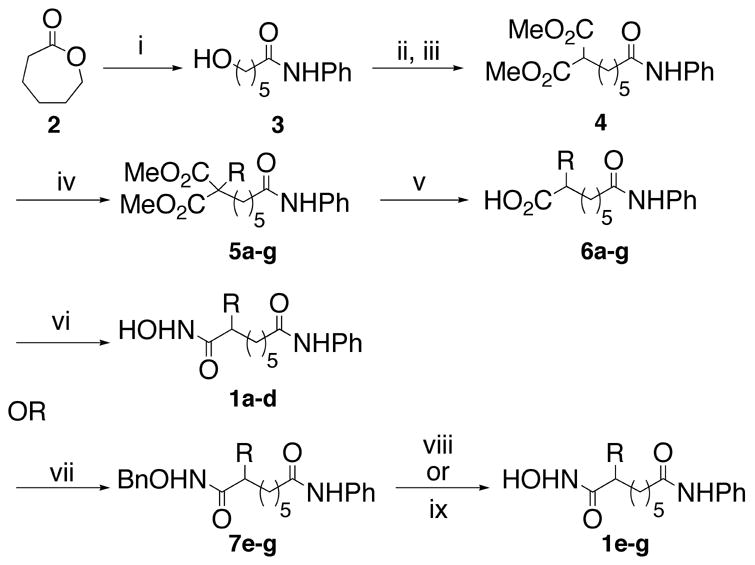 Scheme 1