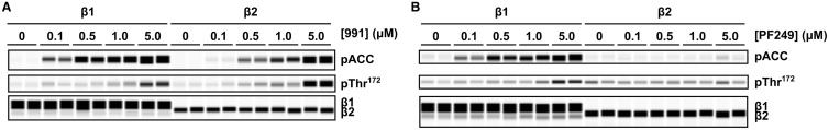 Figure 3.