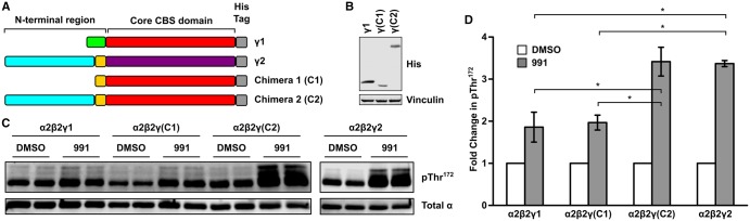 Figure 5.