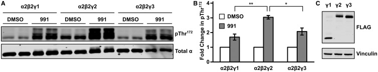 Figure 4.