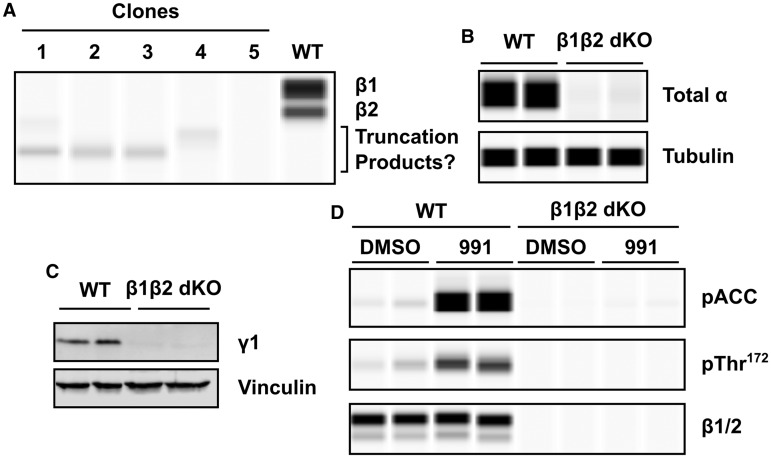 Figure 2.