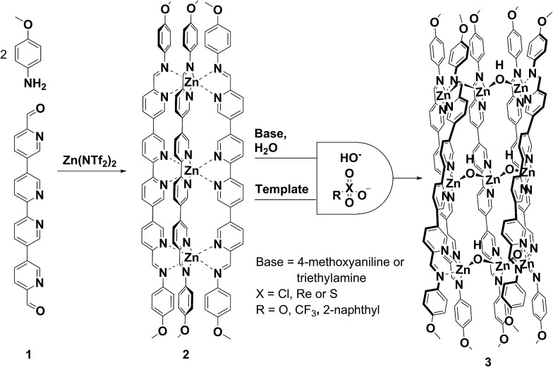 Scheme 1