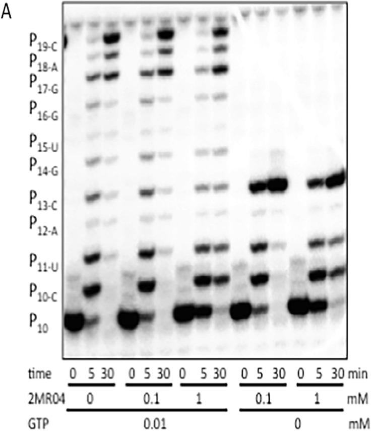 Fig. 6