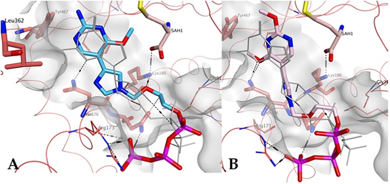 Fig. 11