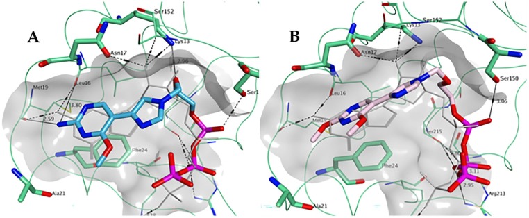 Fig. 8