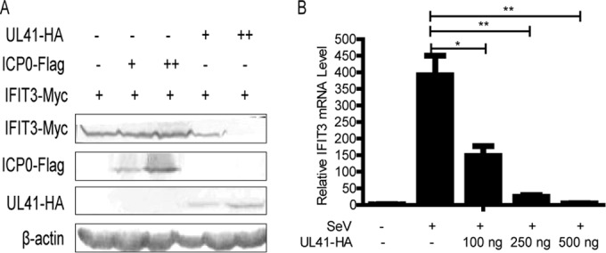 FIG 2